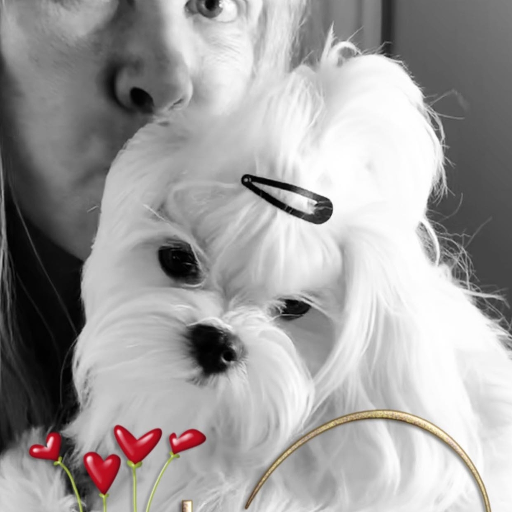 Meet your Posher, Susanne chaisson